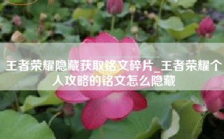 王者荣耀隐藏获取铭文碎片_王者荣耀个人攻略的铭文怎么隐藏