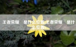 王者荣耀暃是什么位置(王者荣耀暃是什么位置)