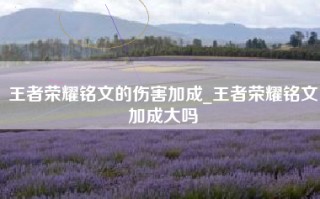 王者荣耀铭文的伤害加成_王者荣耀铭文加成大吗