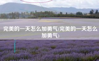 完美的一天怎么加勇气(完美的一天怎么加勇气)
