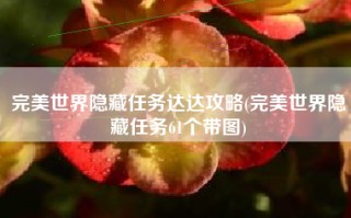 完美世界隐藏任务达达攻略(完美世界隐藏任务61个带图)