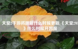 天堂2手游将跟新什么时候更新,《天堂2M》什么时候开国服