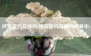 终焉誓约兑换码(终焉誓约兑换码修复中)