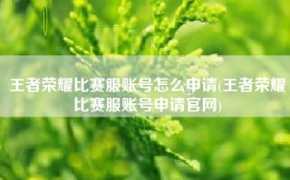 王者荣耀比赛服账号怎么申请(王者荣耀比赛服账号申请官网)