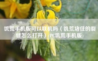 饥荒手机版可以联机吗（饥荒堵住的裂缝怎么打开）(PC饥荒手机版)