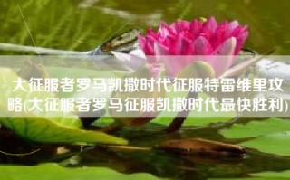 大征服者罗马凯撒时代征服特雷维里攻略(大征服者罗马征服凯撒时代最快胜利)