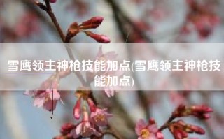 雪鹰领主神枪技能加点(雪鹰领主神枪技能加点)