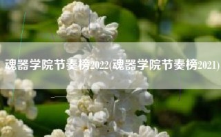 魂器学院节奏榜2022(魂器学院节奏榜2021)