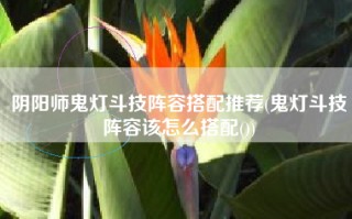 阴阳师鬼灯斗技阵容搭配推荐(鬼灯斗技阵容该怎么搭配())