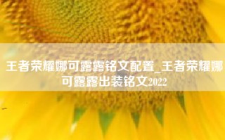 王者荣耀娜可露露铭文配置_王者荣耀娜可露露出装铭文2022