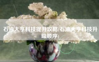 石油大亨科技提升攻略(石油大亨科技升级顺序)