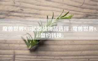 魔兽世界9.15武器战饰品选择 (魔兽世界9.15盟约转换)
