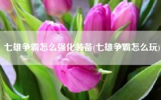 七雄争霸怎么强化装备(七雄争霸怎么玩)