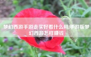 梦幻西游手游走买好看什么用,手游版梦幻西游怎样赚钱