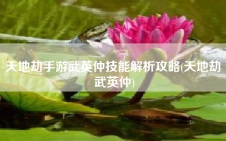 天地劫手游武英仲技能解析攻略(天地劫 武英仲)