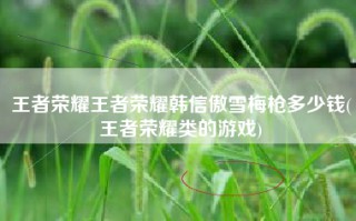王者荣耀王者荣耀韩信傲雪梅枪多少钱(王者荣耀类的游戏)