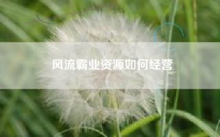 风流霸业资源如何经营
