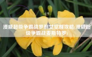 漫威超级争霸战罗刹女觉醒攻略(漫威超级争霸战麦斯特罗)