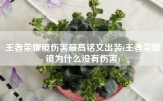 王者荣耀镜伤害最高铭文出装(王者荣耀镜为什么没有伤害)