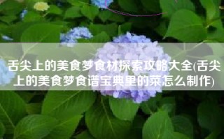 舌尖上的美食梦食材探索攻略大全(舌尖上的美食梦食谱宝典里的菜怎么制作)