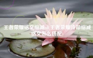 王者荣耀铭文缩减cd(王者荣耀冷却缩减铭文怎么搭配)