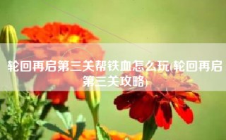 轮回再启第三关帮铁血怎么玩(轮回再启第三关攻略)