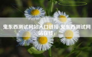 鬼东西测试网站入口链接(鬼东西测试网站在线)