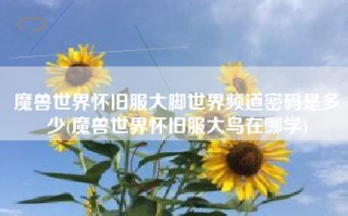 魔兽世界怀旧服大脚世界频道密码是多少(魔兽世界怀旧服大鸟在哪学)