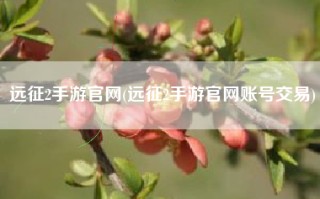 远征2手游官网(远征2手游官网账号交易)