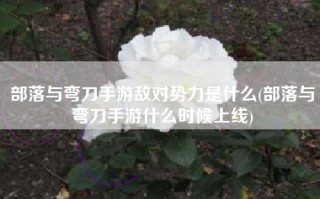 部落与弯刀手游敌对势力是什么(部落与弯刀手游什么时候上线)