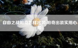 自由之战帕奇怎样出装(帕奇出装实用心得)