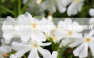 剑网3是个什么游戏视频,怎么录视频游戏好