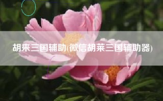 胡来三国辅助(微信胡莱三国辅助器)