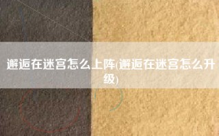 邂逅在迷宫怎么上阵(邂逅在迷宫怎么升级)