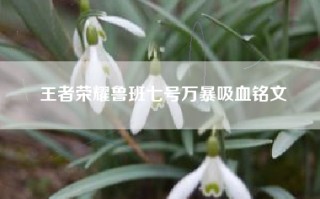 王者荣耀鲁班七号万暴吸血铭文