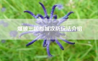 爆破三国郡城攻防玩法介绍