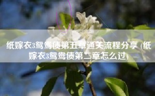 纸嫁衣3鸳鸯债第五章通关流程分享 (纸嫁衣3鸳鸯债第二章怎么过)