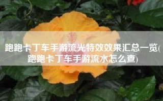 跑跑卡丁车手游流光特效效果汇总一览(跑跑卡丁车手游流水怎么查)