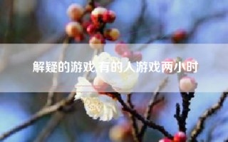 解疑的游戏,有的人游戏两小时