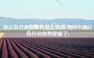 风云岛行动陀螺仪怎么关闭(为什么风云岛行动突然停服了)