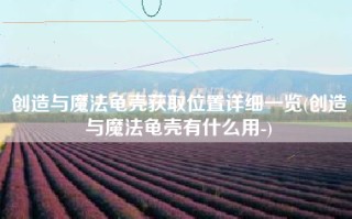 创造与魔法龟壳获取位置详细一览(创造与魔法龟壳有什么用-)