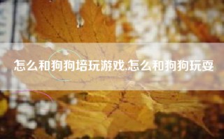 怎么和狗狗培玩游戏,怎么和狗狗玩耍