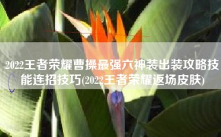 2022王者荣耀曹操最强六神装出装攻略技能连招技巧(2022王者荣耀返场皮肤)