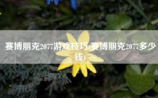 赛博朋克2077游戏技巧(赛博朋克2077多少钱)