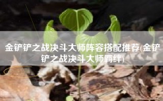 金铲铲之战决斗大师阵容搭配推荐(金铲铲之战决斗大师羁绊)