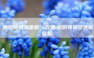 阴阳师御灵速刷15S攻略(阴阳师御灵速刷挂机)