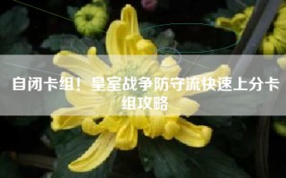 自闭卡组！皇室战争防守流快速上分卡组攻略