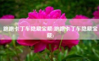 跑跑卡丁车隐藏宝藏(跑跑卡丁车隐藏宝藏)