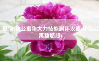 爱5猪猪公寓猪大力技能测评攻略(猪猪公寓猪悠悠)