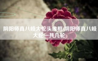 阴阳师真八岐大蛇头像框(阴阳师真八岐大蛇一共几轮)
